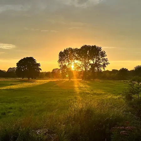 102-tiny House Mit Blick Ins Gruene, Wlan Und Kamin Дом отдыха *