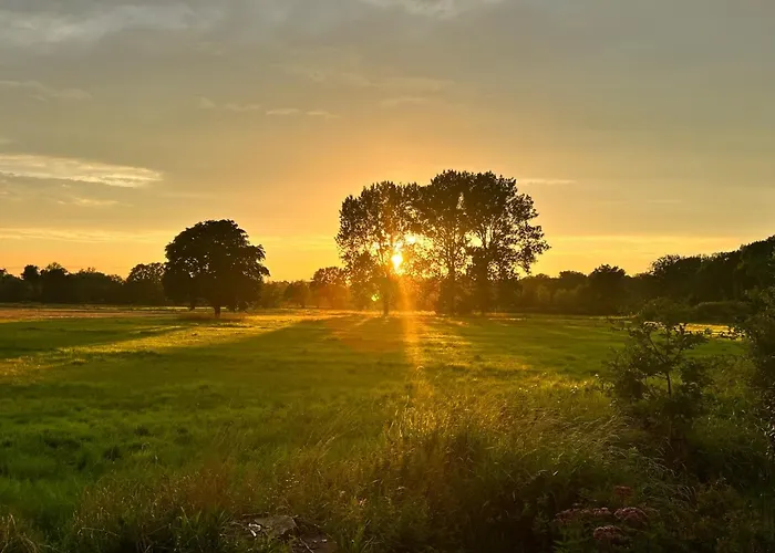 102-tiny House Mit Blick Ins Gruene, Wlan Und Kamin Nyaraló *