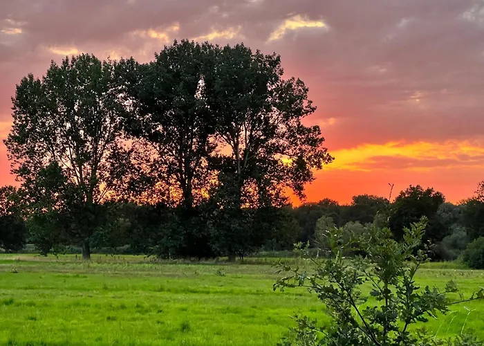 102-tiny House Mit Blick Ins Gruene, Wlan Und Kamin Nyaraló Bleckede
